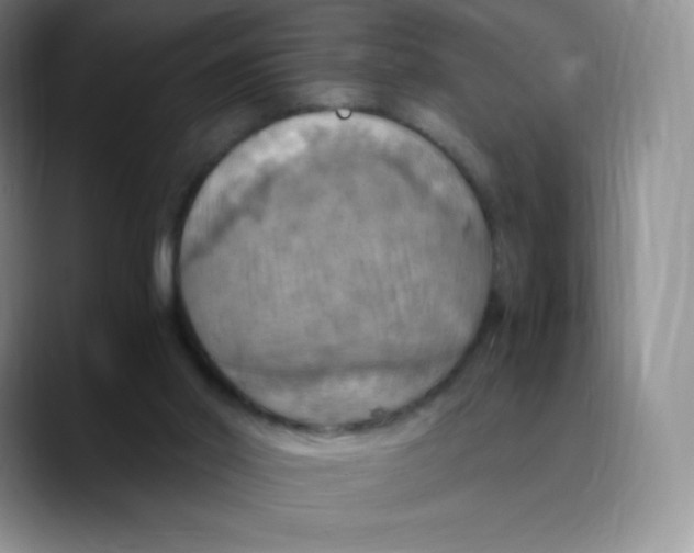 X0000089690014200707201729