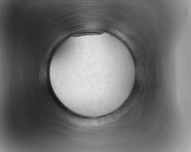 X0000089690015200707201729