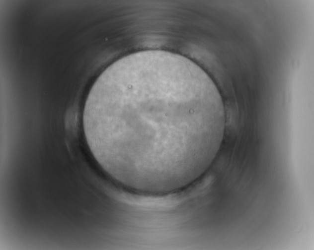 X0000089690016200707201729