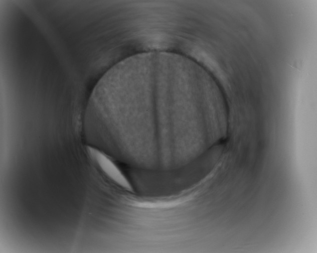 X0000089690017200707201729