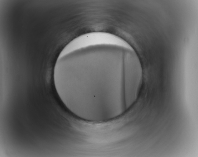 X0000089690018200707201729