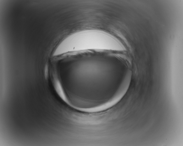 X0000089690019200707201729