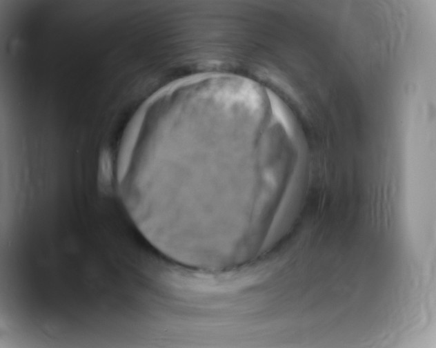 X0000089690022200707201729