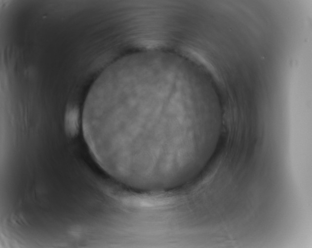 X0000089690024200707201729