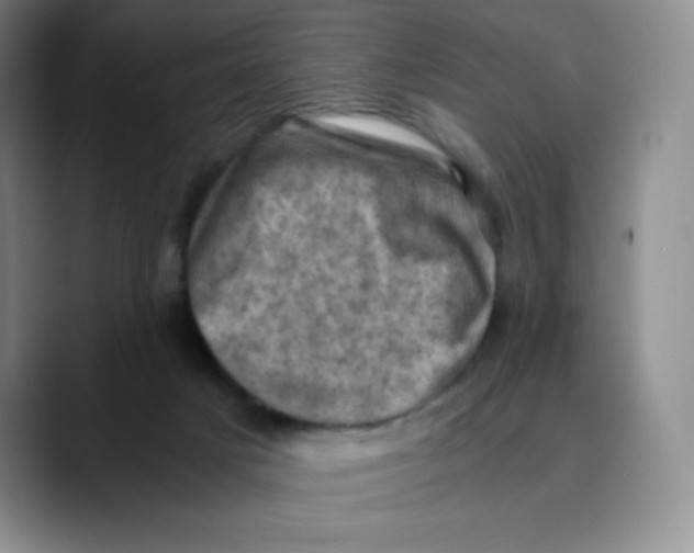 X0000089690025200707201729