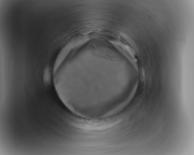 X0000089690026200707201729