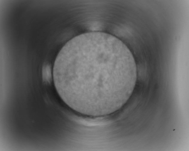 X0000089690028200707201729