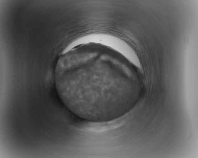 X0000089690029200707201729