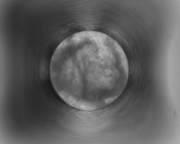 X0000089690030200707201729