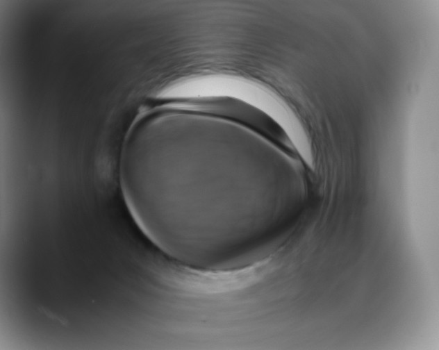 X0000089690031200707201729