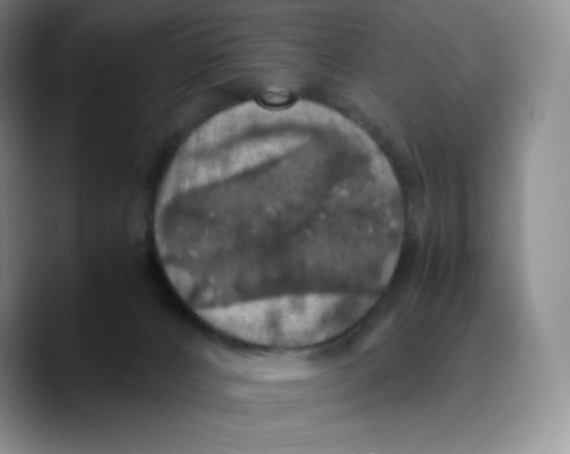 X0000089690032200707201729