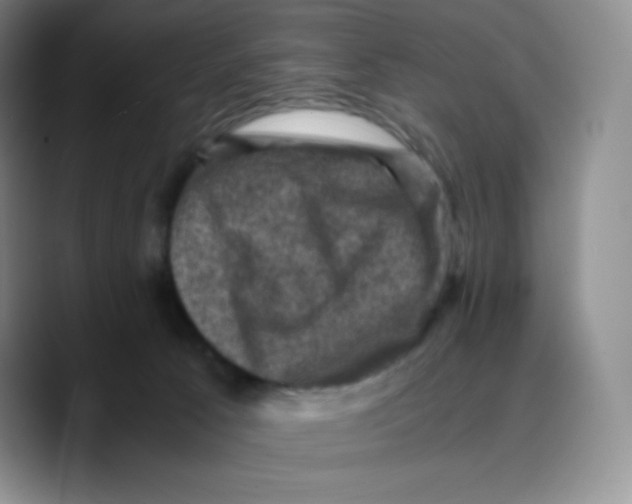 X0000089690033200707201729