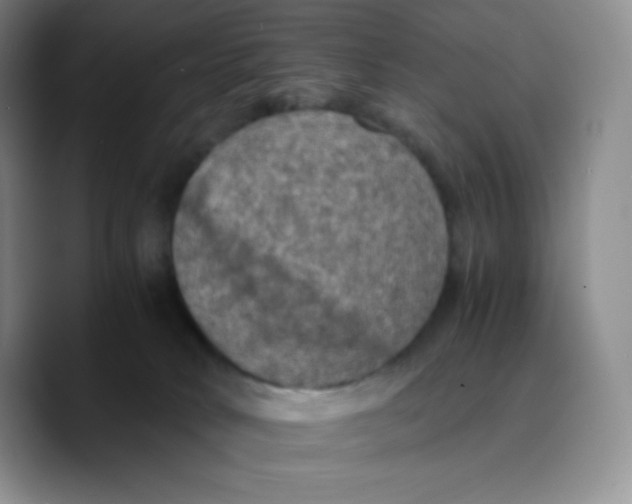X0000089690034200707201729