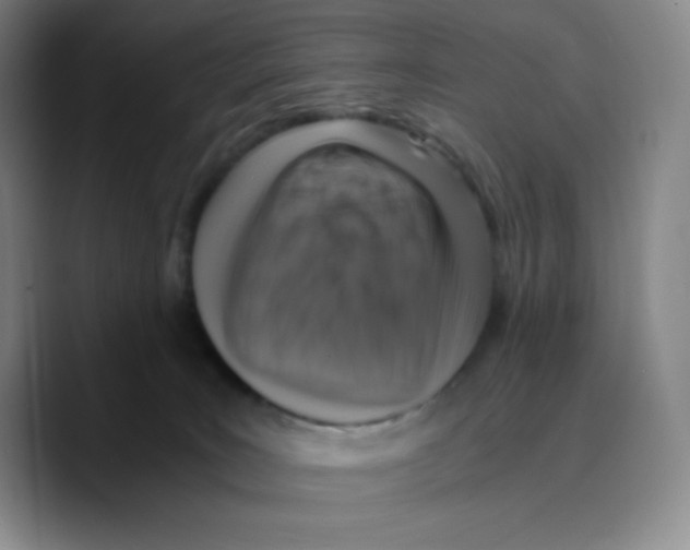X0000089690035200707201729