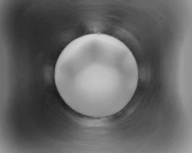 X0000089690036200707201729