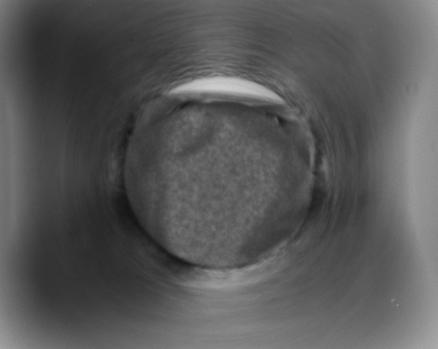 X0000089690037200707201729