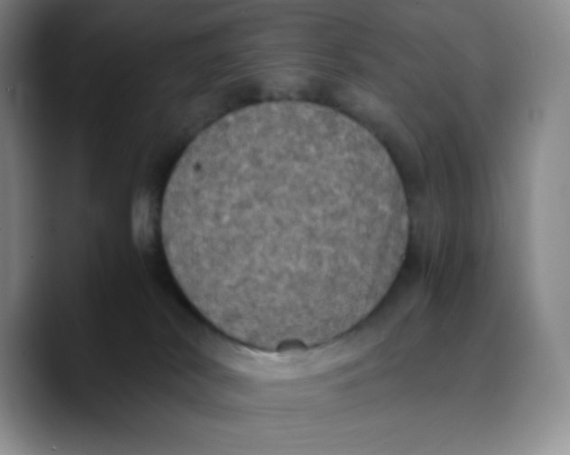 X0000089690038200707201729