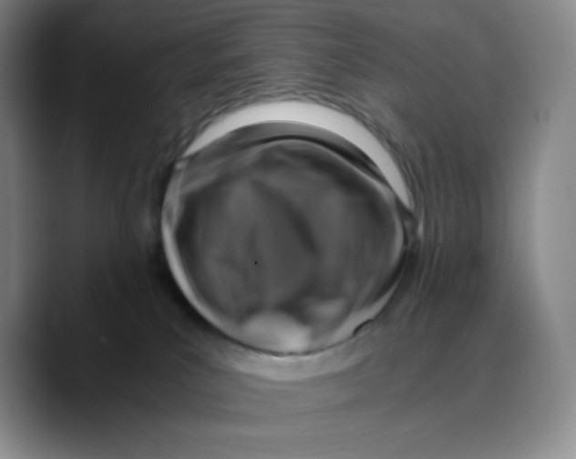 X0000089690039200707201729