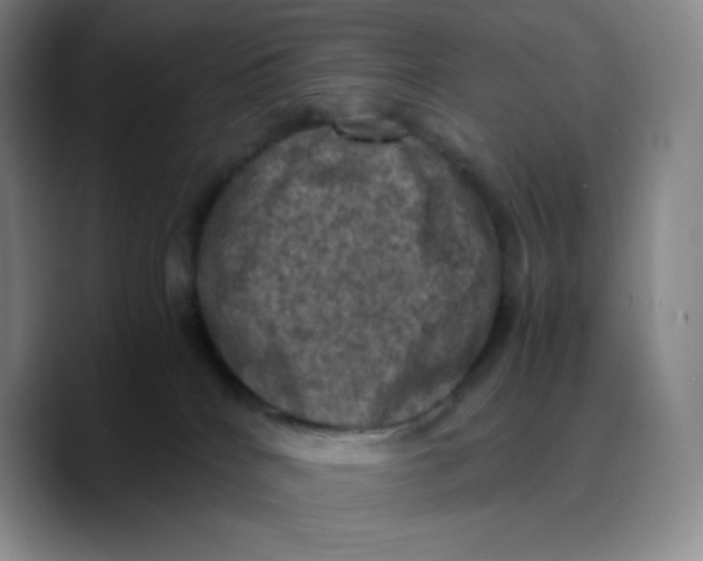 X0000089690040200707201729