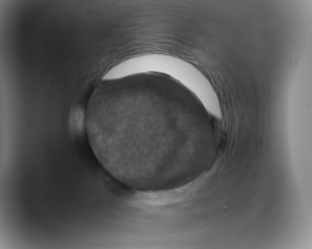X0000089690041200707201729