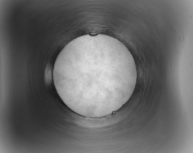 X0000089690042200707201729