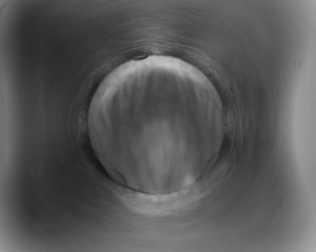 X0000089690043200707201729