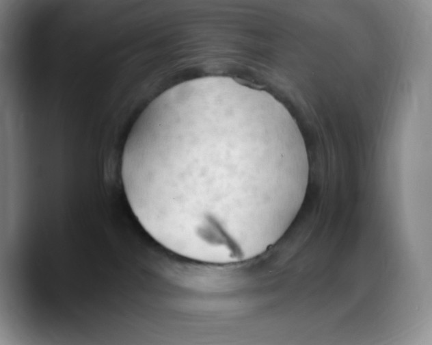 X0000089690044200707201729