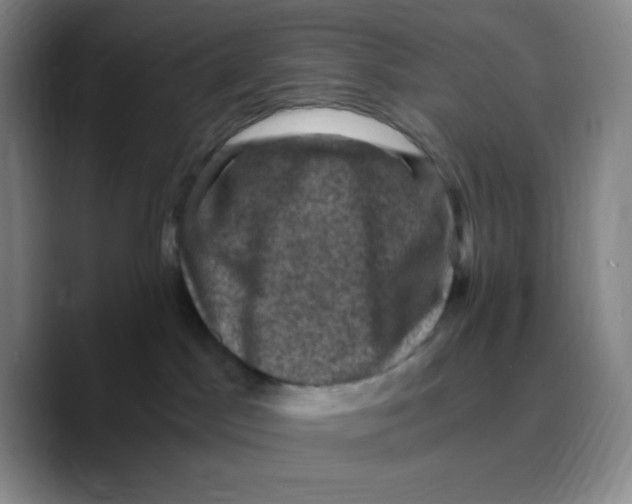 X0000089690045200707201729