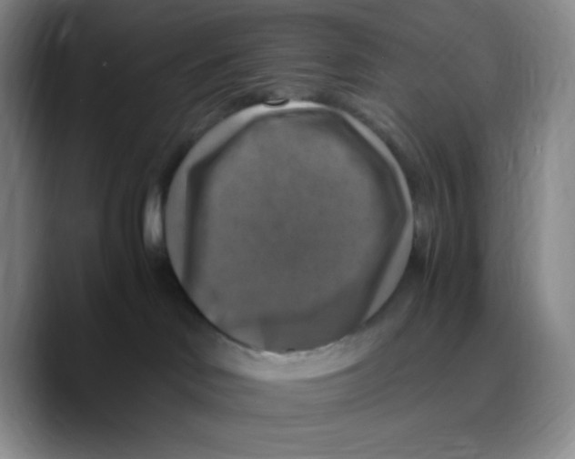 X0000089690046200707201729