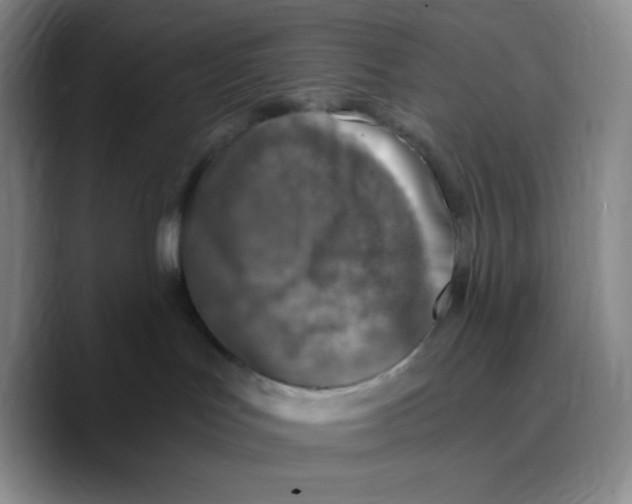 X0000089690047200707201729