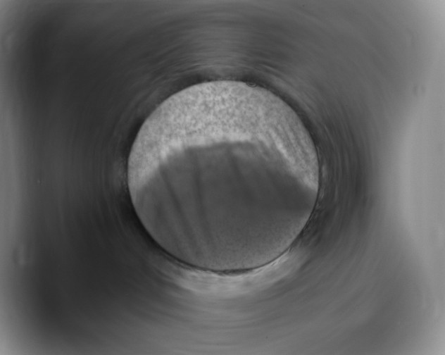 X0000089690048200707201729