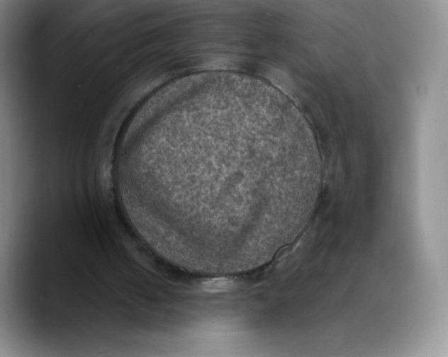 X0000089690050200707201728
