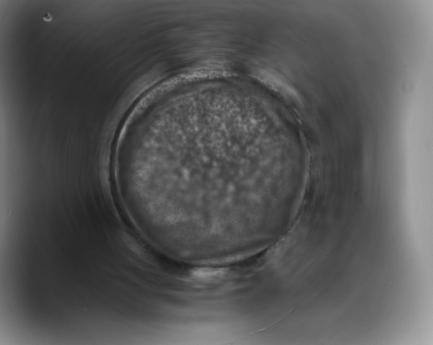 X0000089690051200707201728