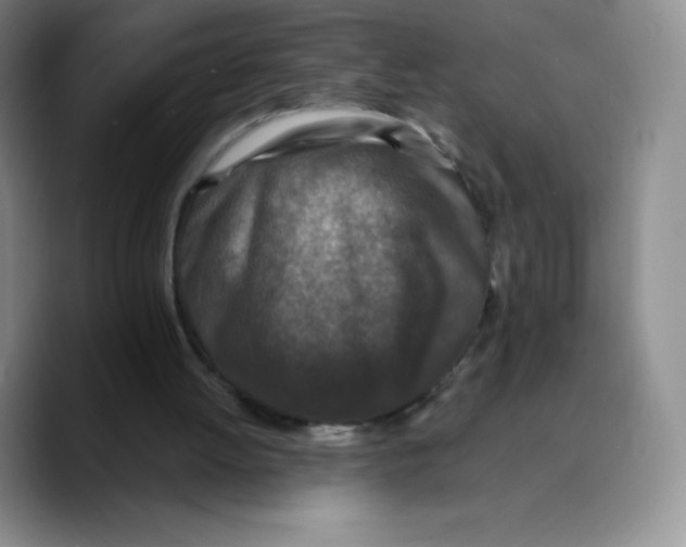X0000089690052200707201728