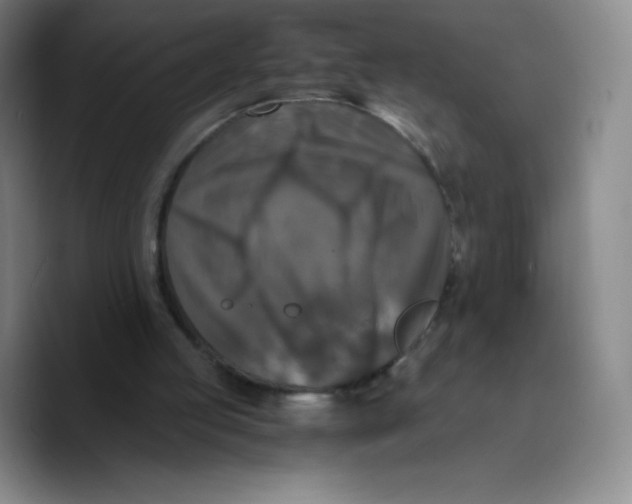 X0000089690053200707201728