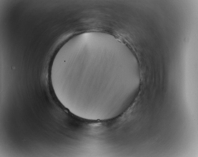 X0000089690054200707201728