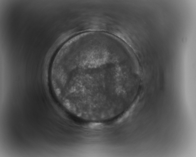 X0000089690055200707201728