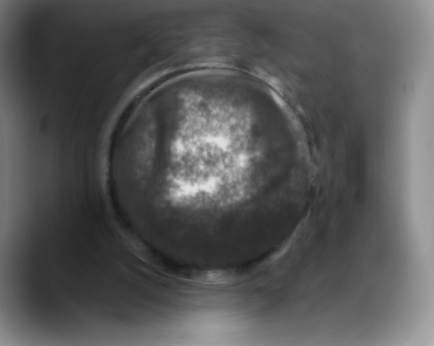 X0000089690056200707201728