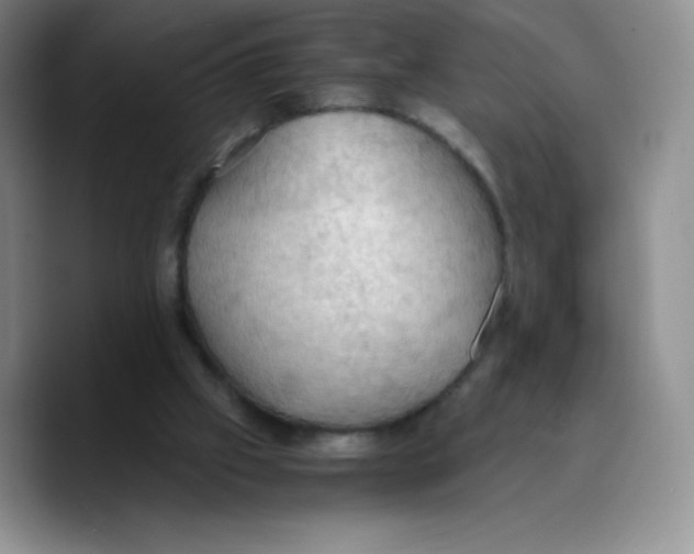 X0000089690057200707201728