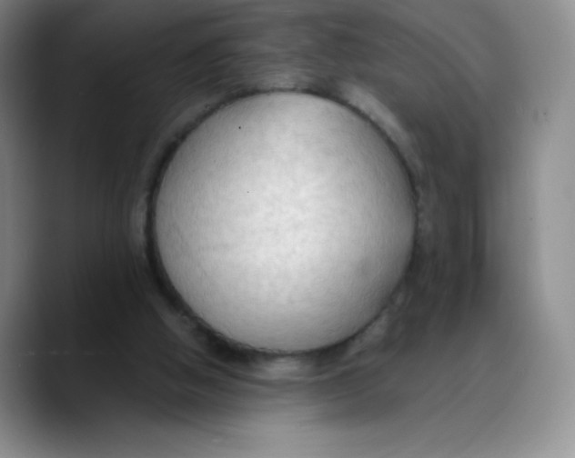 X0000089690058200707201728
