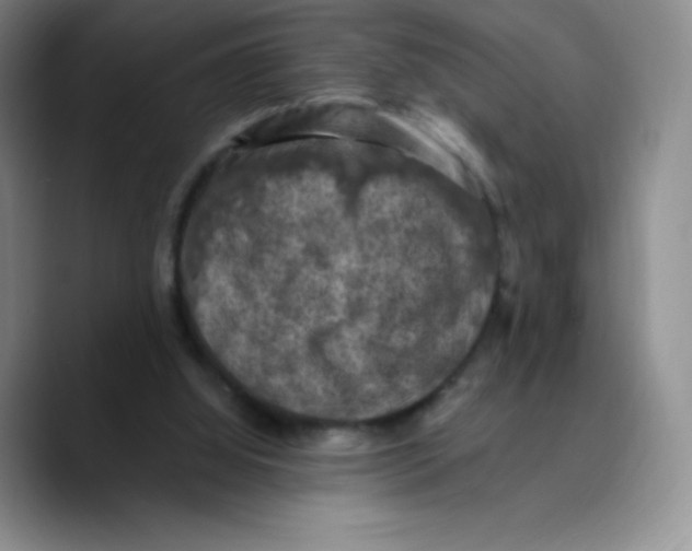 X0000089690060200707201728