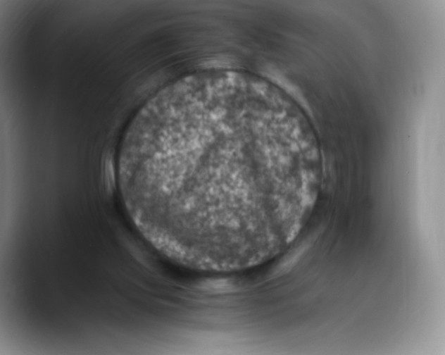 X0000089690061200707201728