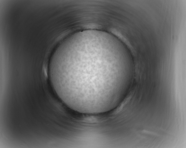 X0000089690062200707201728