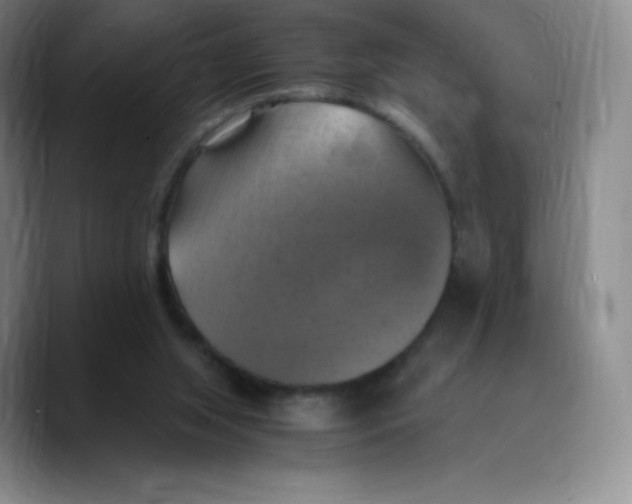 X0000089690063200707201728