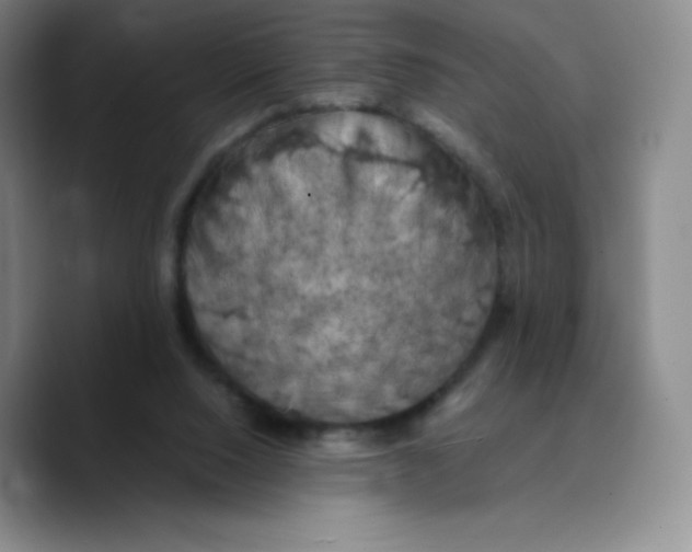 X0000089690064200707201728