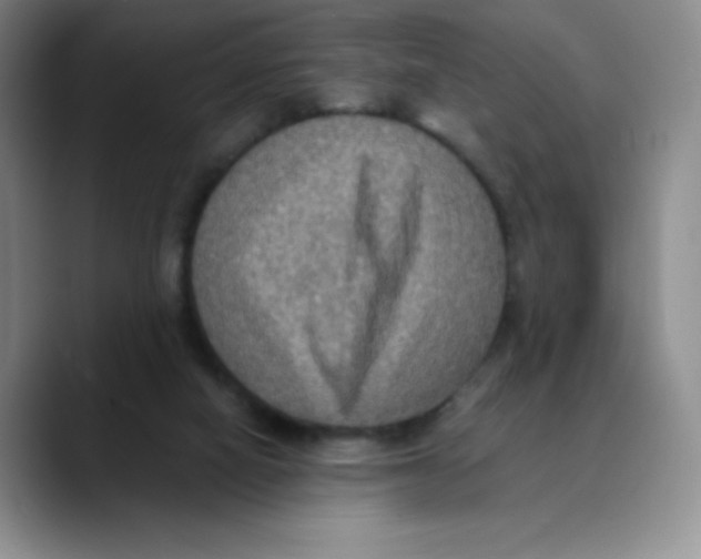 X0000089690066200707201728
