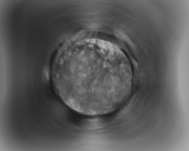 X0000089690068200707201728