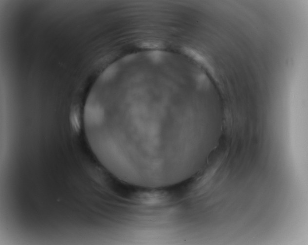 X0000089690069200707201728