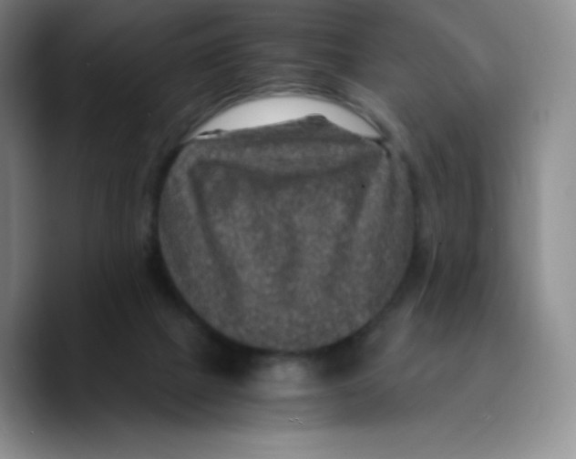 X0000089690073200707201728