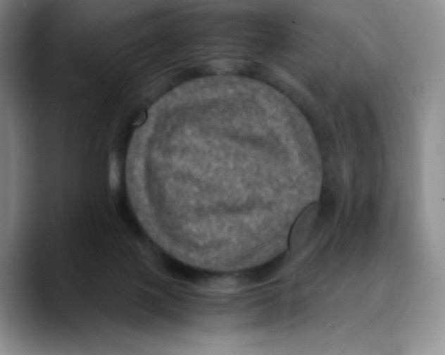 X0000089690075200707201728